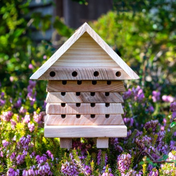 Interactive Solitary Flip Top Bee Hive